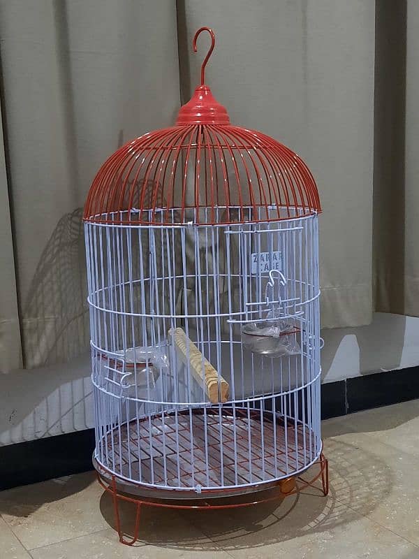 cage bird 1