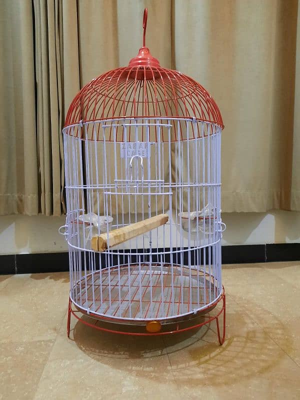 cage bird 2