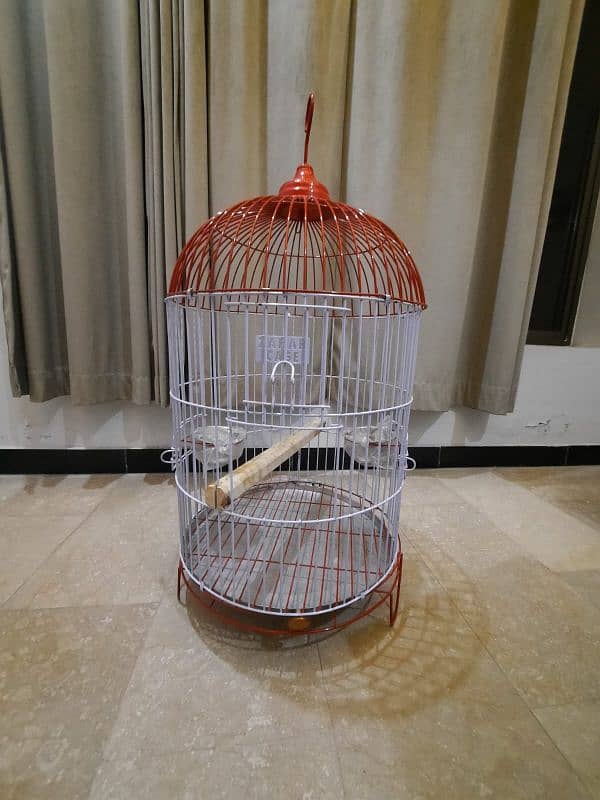 cage bird 3