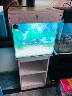 Aquarium