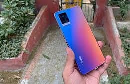 Vivo