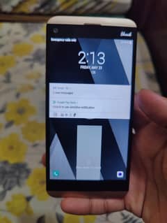LG