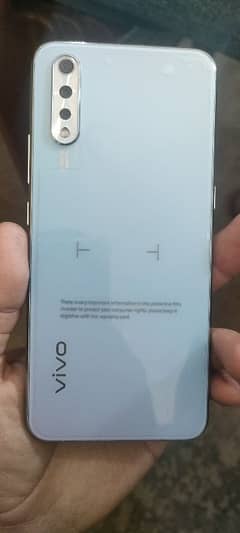 vivo