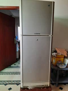 PEL Desire Infinite Refrigerator