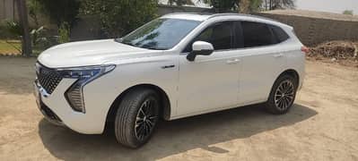 Haval