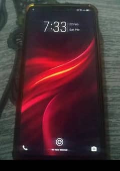 vivo