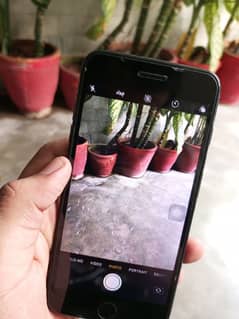 iphone 7 plus
