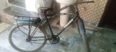 03167564924 belkul ok