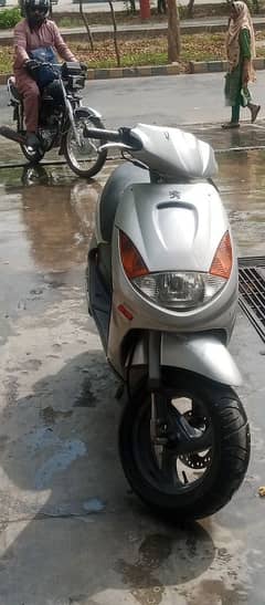 scoty for sale