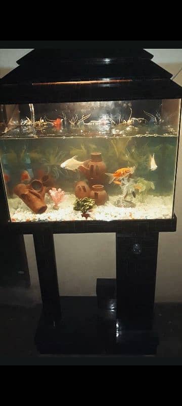FISH AQUARIUM