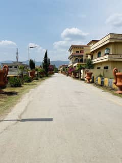 Zam