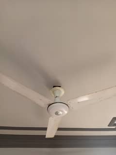 2 Fans