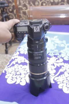 canon 6d with Tamron 70/200mm