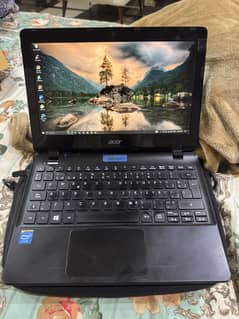 Acer