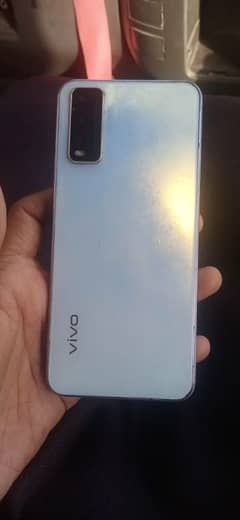 vivo