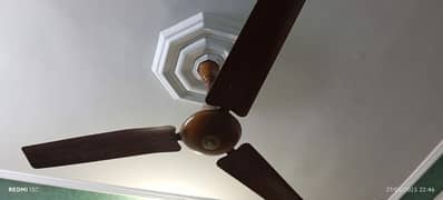 Celling Fan