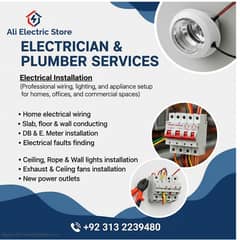Electrition