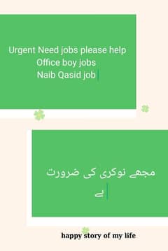 Urgent please help Office boy jobs  Naib Qasid job Need to me