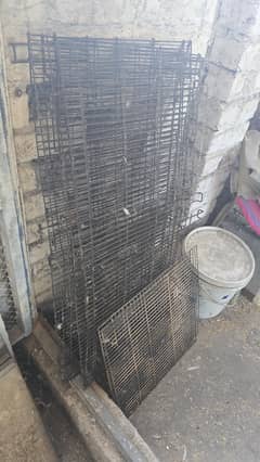 Bird Cage