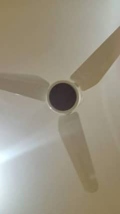 celling