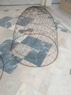 hen