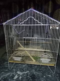 Australian parrots with cages
