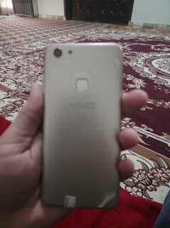 vivo