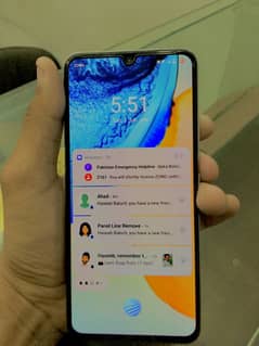 vivo