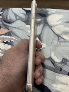 Iphone 7plus pta approved