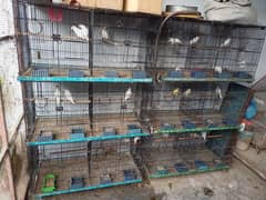 5 cages 2 foldable cages 3 four portion cage