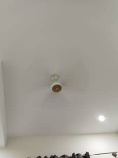 original Pak fan for sale