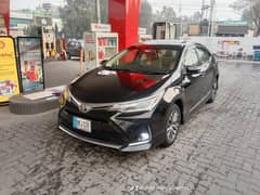 Without driver /Honda rent a car/Civic car rental/Rent a car