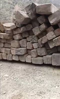 Diyar