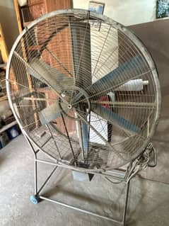 Heavy-Duty Industrial Pedestal Fan