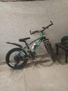 Bicycle