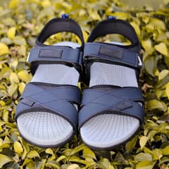 this is a good shoes his price is valuable price