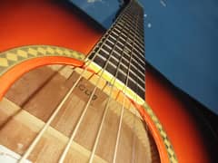 best guitar for beginners