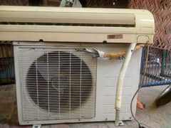 orient ac 1.5 tan