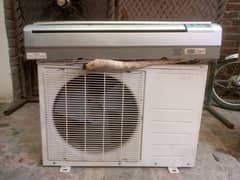 orient ac 1.2 tan