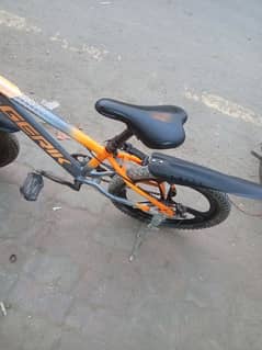 20inch
