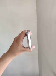 Natural Titanium 256Gb