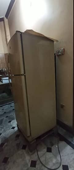 PEL fridge for sale Urgent