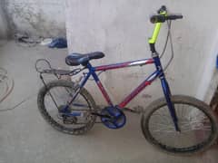 Phoneix Bicycle
