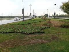 5 Marla Plot File For Sale In DHA Gujranwala