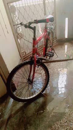 24 size cycle for sale