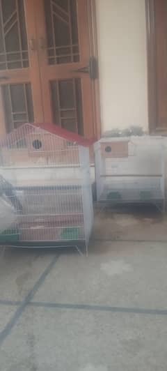 Urgent sale Birds cage