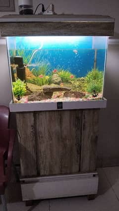 Complete Setup for Sale With High Quality Filter Gravel and Fishes