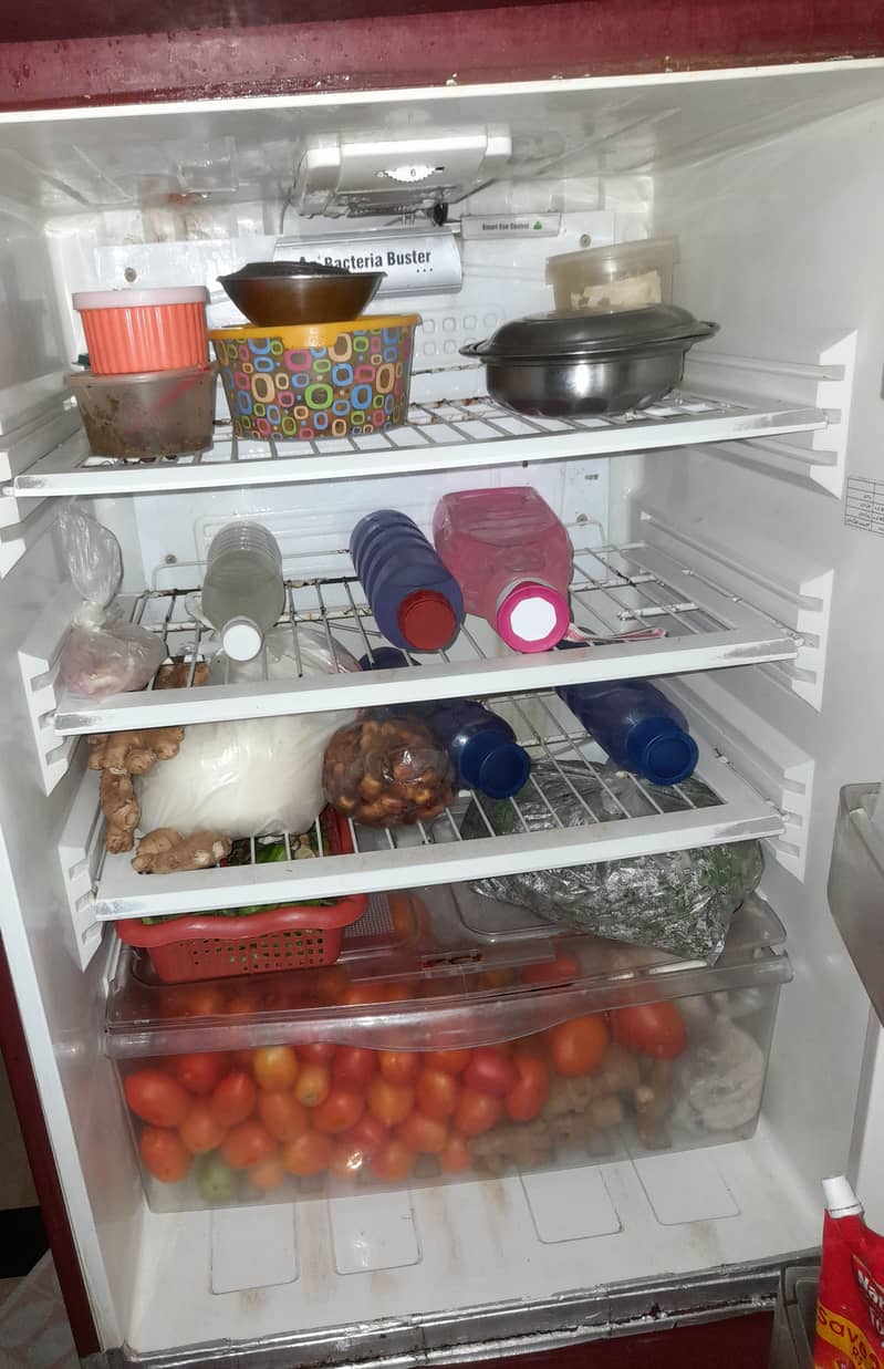 Pel refrigerator 1