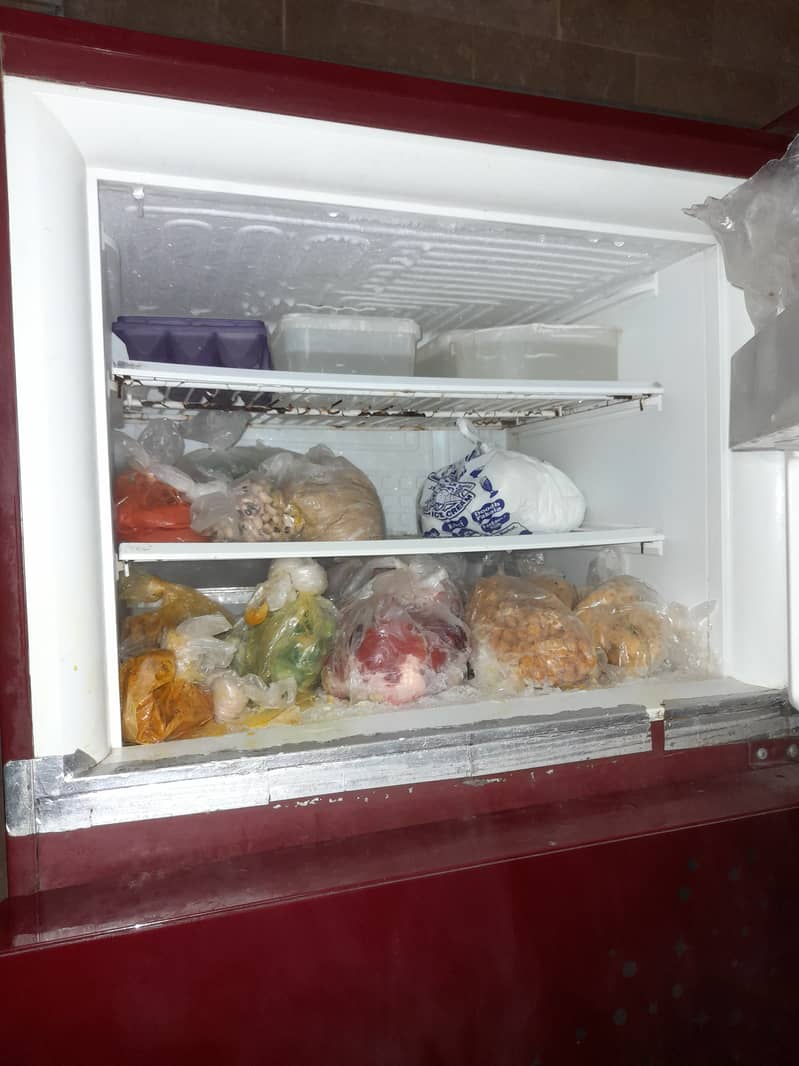 Pel refrigerator 2