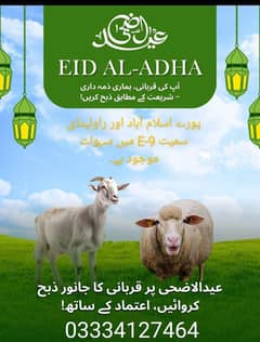 Qasai for Qurbani